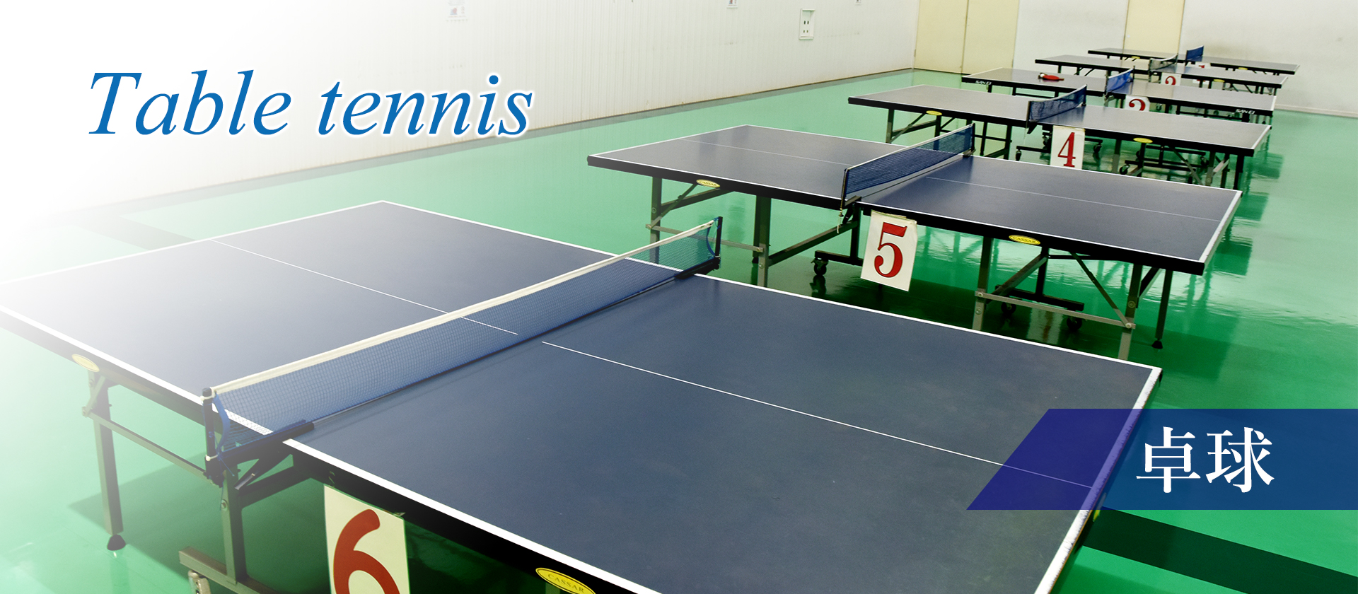 Table tennis 卓球